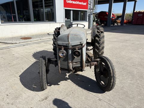 Massey Ferguson TED 20