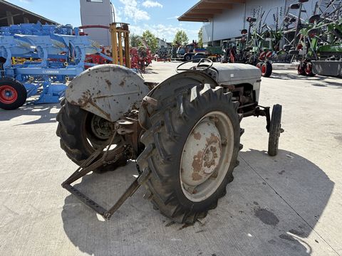 Massey Ferguson TED 20