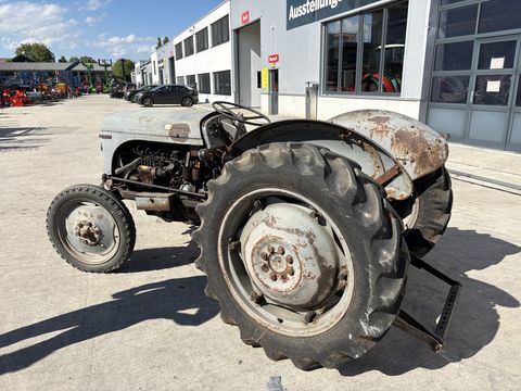 Massey Ferguson TED 20