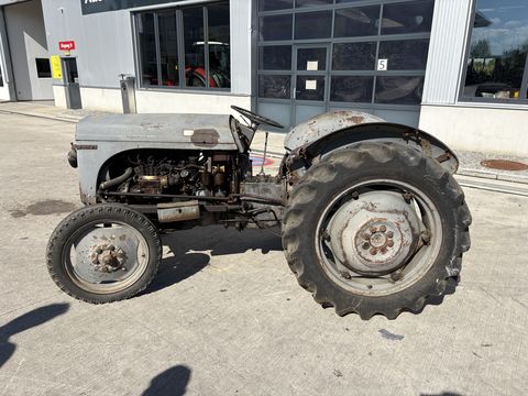 Massey Ferguson TED 20