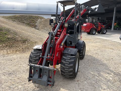 Weidemann 1260 mit 4 Zylinder Motor, unter 2,0m