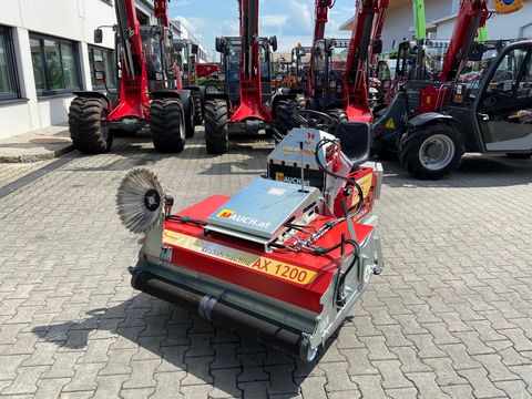 Westermann CM2 Pro Honda Hydraulik E-Start
