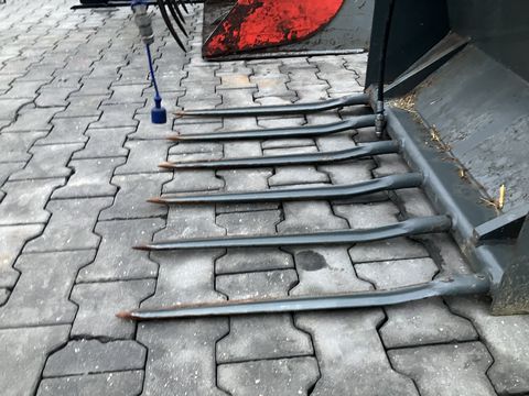 Weidemann Krokodilgebiss