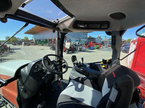Steyr Profi 6135 Profimodell
