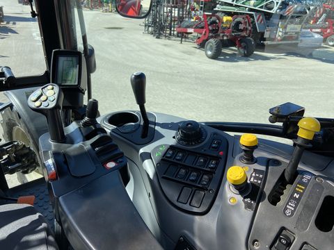 Steyr Profi 6135 Profimodell