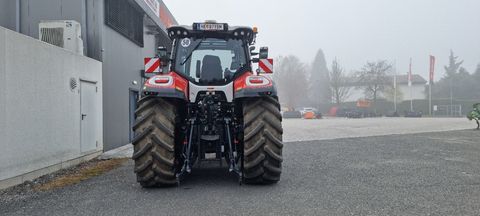 Steyr 6260 ABSOLUT CVT