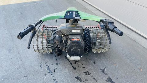 Rapid Mondo