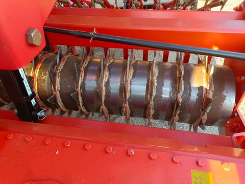 Maschio Dama & Penta PE 300