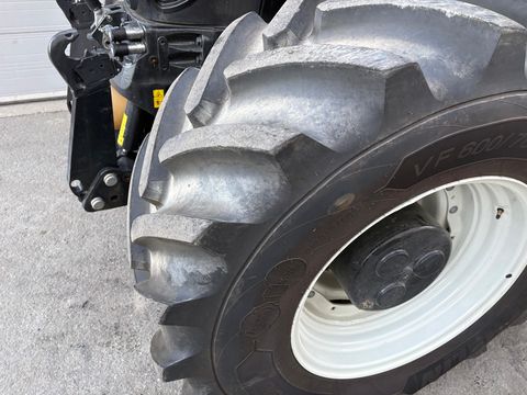 Steyr 6300 Terrus CVT (Stage V)