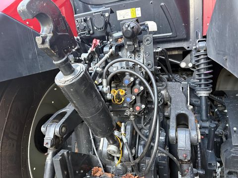 Steyr 6300 Terrus CVT (Stage V)