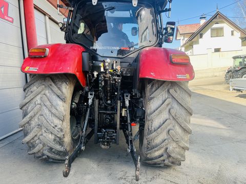 Steyr 4125 Profi CVT