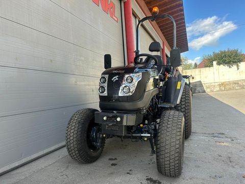 Solis Panther 26 HST Black Edition - Zankl