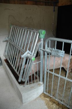Sonstige Schweinemaststall