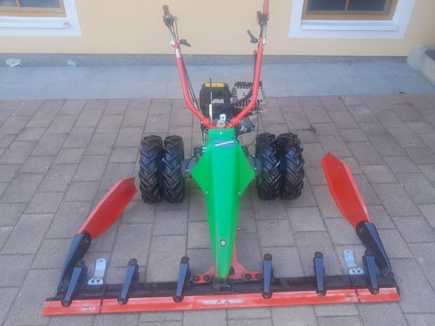 Rapid Rex