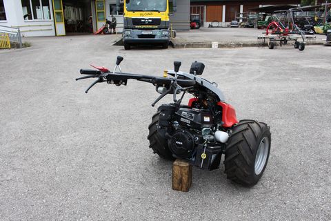 3388-1cb554e48d1d35e2aa5182bd80e77c30-6120504