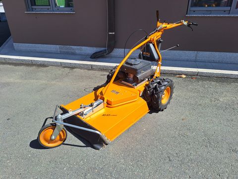 AS AS Allmäher 65 2T ES