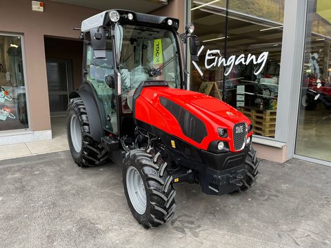 Same Frutteto 95 (Stage V)