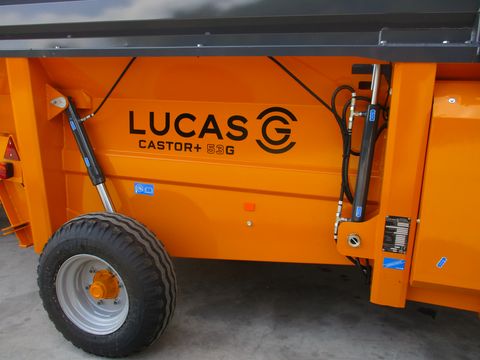 Sonstige LUCAS