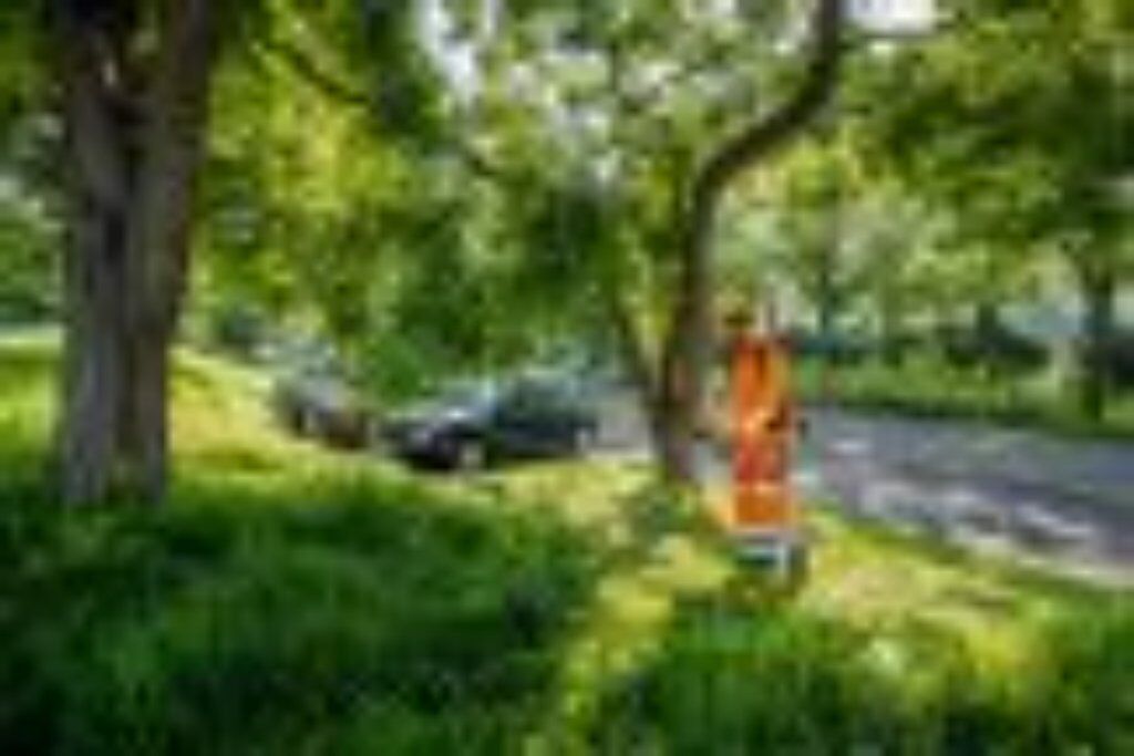 Stihl BENZIN MOTORSENSE FS94C-E 2