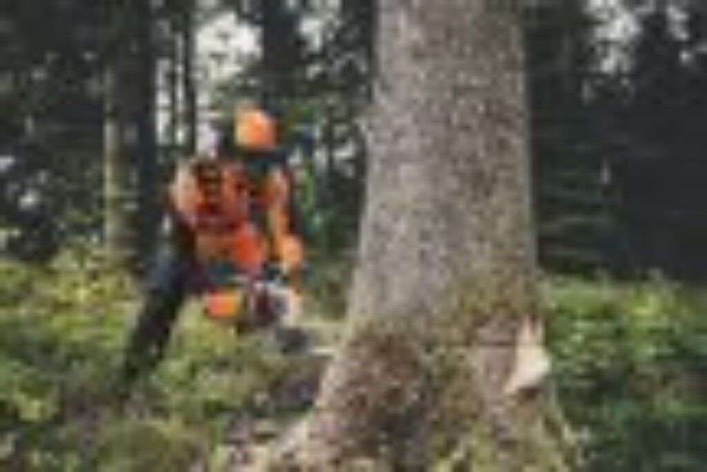Stihl BENZINMOTORSÄGE MS 400.1 -M / 45 cm 3