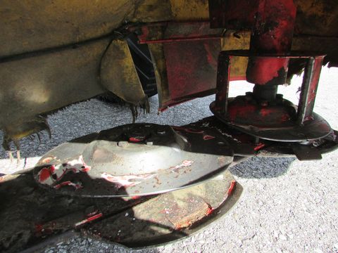 3405-1a6bf061f17bfbb86a24c70a9454cf07-6572304