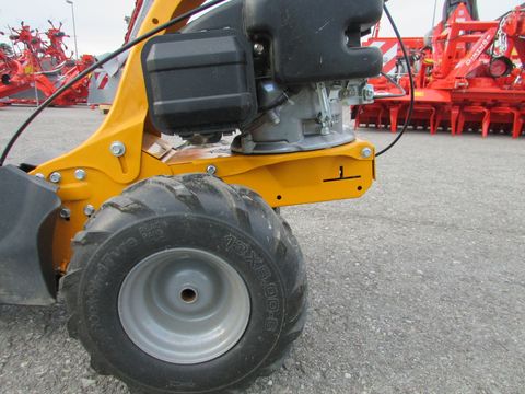 3405-a3429f6d8096e1f86053054290c6a62f-6865221