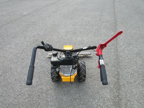 3405-a3429f6d8096e1f86053054290c6a62f-6865221