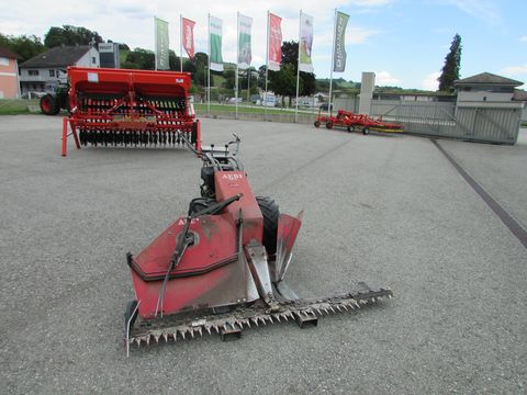 Aebi AM 41