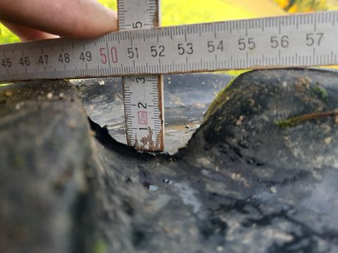 3405-e87cb264137a474e846e6152afc61fe5-6385952 3405-e87cb264137a474e846e6152afc61fe5-6385952