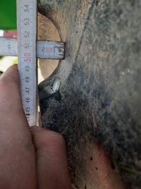 3405-e87cb264137a474e846e6152afc61fe5-6385952 3405-e87cb264137a474e846e6152afc61fe5-6385952