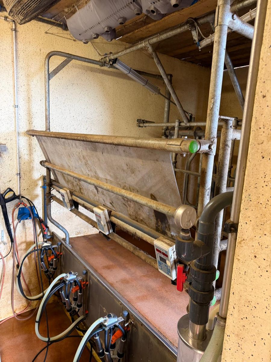 Andreas Graf Melktechnik Melkstand 1x3 Side by Side kpl. 2