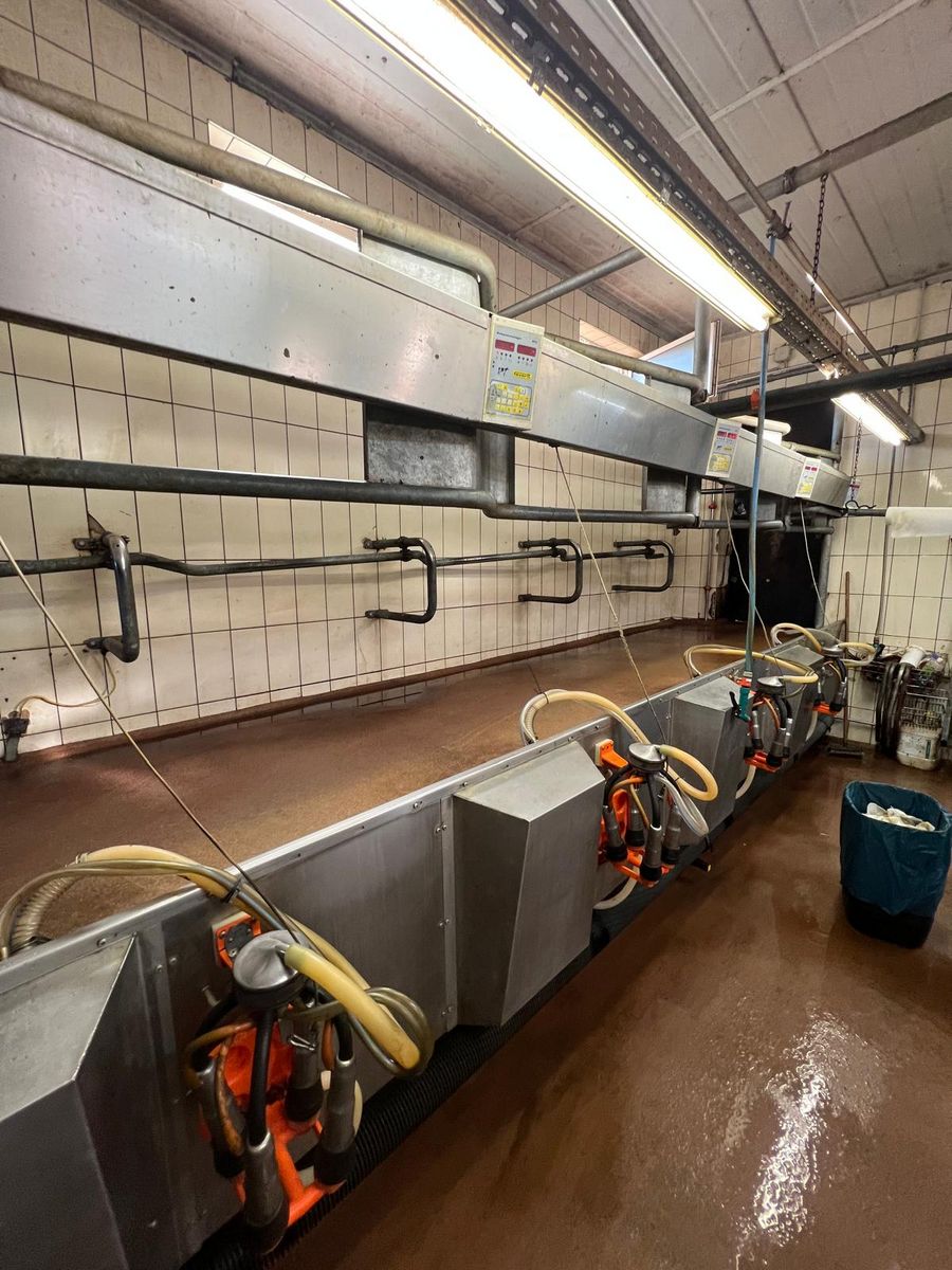 Andreas Graf Melktechnik Melkstand 2x4 FGM m. Lactronickante 2