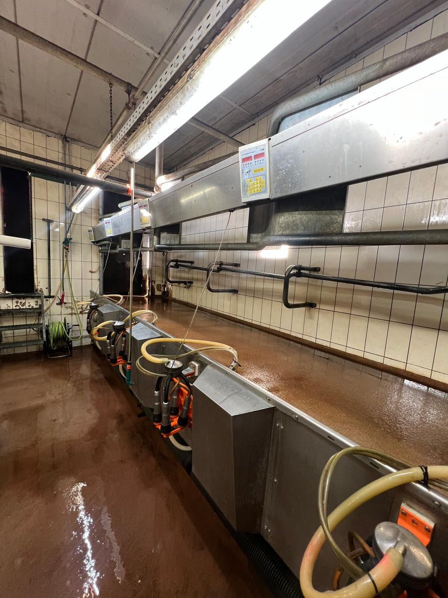 Andreas Graf Melktechnik Melkstand 2x4 FGM m. Lactronickante 3