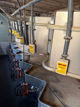 Andreas Graf Melktechnik 1x7 FGM 50° Sägezahn Melkstand