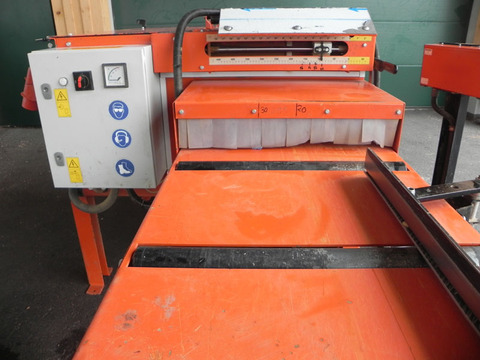 Doppelbesäumer Woodmizer EG300 gebraucht 3