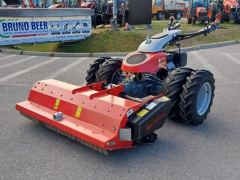 Aebi CC 66