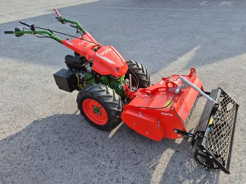 Agria Cyclone 13 5900