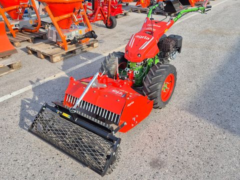 Agria Cyclone 13 5900