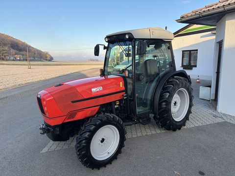 Same Frutteto III 100