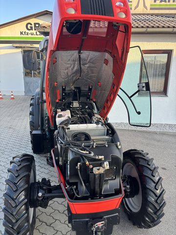 Same Frutteto III 100