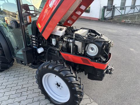 Same Frutteto III 100