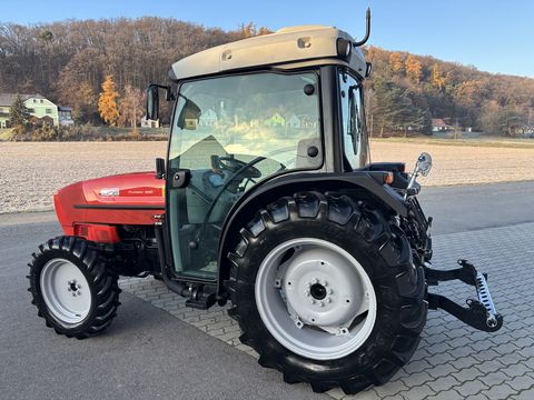 Same Frutteto III 100