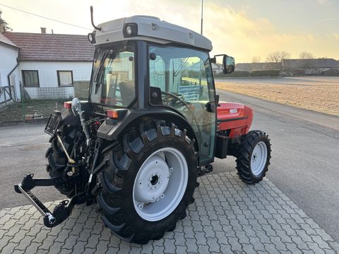 Same Frutteto III 100