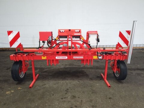 Maschio INTELLIGENTE GASPARDO VERSCHIE 2