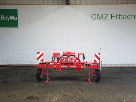 Maschio INTELLIGENTE GASPARDO VERSCHIE
