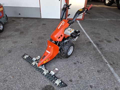 Reform MOTECH CM 817