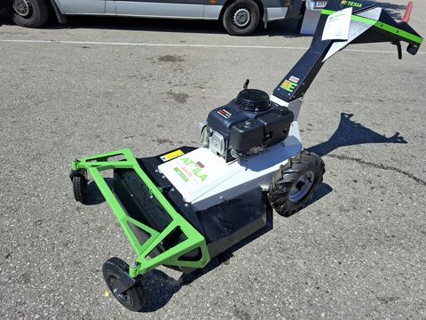 ETESIA Gestrüppmäher Attila AH75