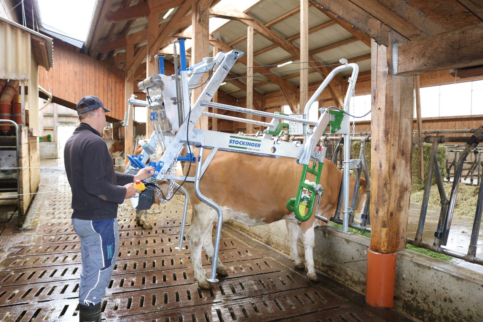 ECOLIFT Klauenpflegestand klappbar auf Fressgitt 1