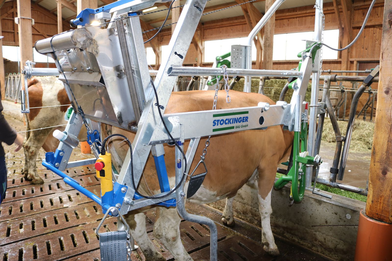 ECOLIFT Klauenpflegestand klappbar auf Fressgitt 2