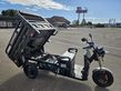 Sonstige E-Lastendreirad TUK TUK CARGO-L TRIKE